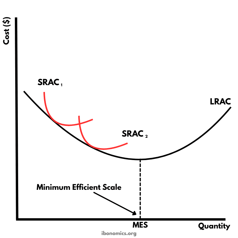 Long Run Average Cost and Minimum Efficient Scale